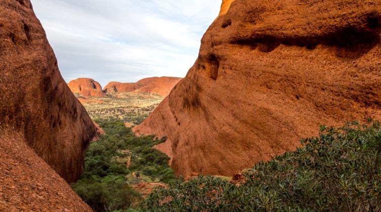 Australie-2014-3685-Mts-Olga-galerie-lucile-daubarede-photo-WEB