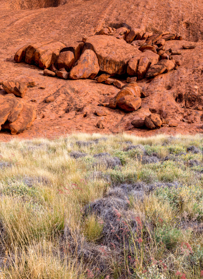 Australie-ULURU-PAINTING-like-web-lucile-daubarede