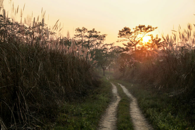 Nepal-CHITWAN-SUNSET-web-lucile-daubarede