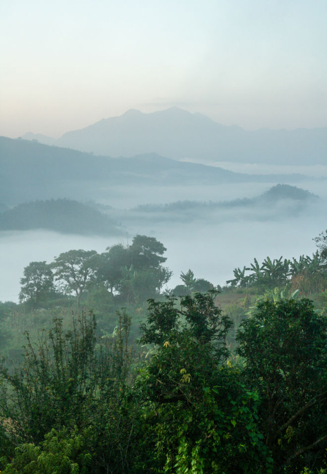 Nepal-FORET-BRUME-web-lucile-daubarede